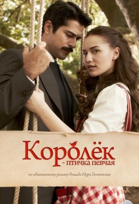 Королёк – птичка певчая (Çalıkuşu)