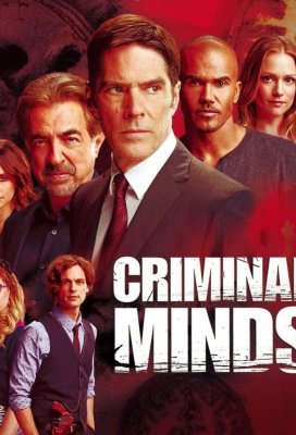 Мыслить как преступник (Criminal Minds)